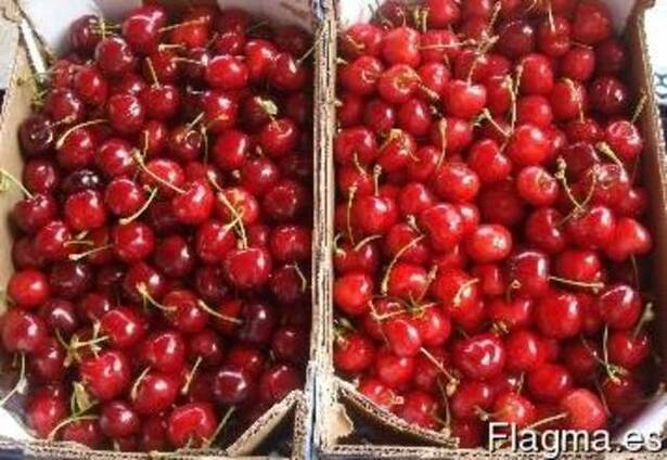 Черешня из Испании