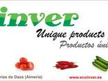 Exportacion de hortalizas frescas. Somos productores.