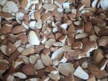 Almond - фото 1