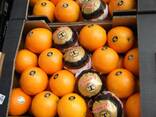 Апельсины из Испании - фото 2