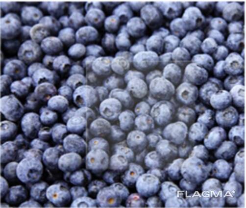 Bayas (frutos del bosque) y frutas congeladas; mezclas de bayas y frutas, y mezclas para c