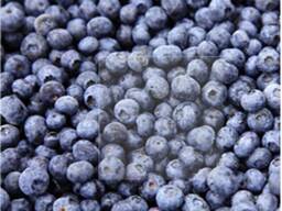 Bayas (frutos del bosque) y frutas congeladas; mezclas de bayas y frutas, y mezclas para c