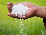 DAP Fertilizer 18-46-0 Diammonium Phosphate Fertilizer for Agriculture Nitrogen Urea - фото 1