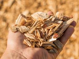 Buy Wood Chips and wood shavings