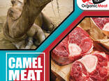 Carne de camello - фото 1