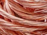 Copper Wire Scrap 99.99% / Copper Metal Scraps Available at Cheapest Price In Huge Stock - foto 1