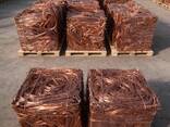 Copper Wire Scrap 99.99% High Purity BR Europe/Usa/Turkey/South America - foto 1