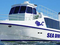 Daily diving boat, Motorline 16D