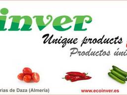 Exportacion de hortalizas frescas. Somos productores.