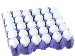 Fertilized Chicken Eggs/ Cobb 500 Broiler Chicken Eggs/Fresh Cobb 700 Fertile eggs
