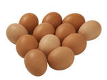Fertilized Chicken Eggs/ Cobb 500 Broiler Chicken Eggs/Fresh Cobb 700 Fertile eggs - photo 3