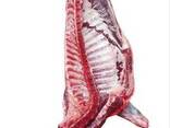 Suministro al por mayor de carne de cerdo congelada de españa - foto 3