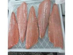 Frozen Salmon Fillet / Salmon Fish / Atlantic Whole Salmon Fish From Norway for export