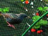 Garden nets, antibird - photo 4
