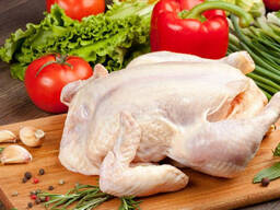 Halal Frozen Chicken, ! Thigh, Back quarter, Wings , Fillet IPBF , IQF, BF. Ukraine !