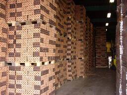 Investor Teaser Summary: ECO ENERGY LTD