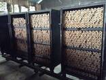 Investors For Sawdust Charcoal Briquette Production Plant in Cameroon. - фото 2