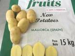Картофель молодой нового урожая из Испании. Прямые поставки. - фото 1