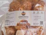 Lion's mane (melena de león) frutas de champiñones ENTERAS - 100 gr/Ежовик гребенчатый