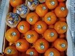 Мандарины свежие - foto 3