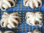 Мороженные морепродукты и рыба в Испанию от завода из Китая - фото 6