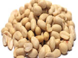 Peanunt nuts - photo 1
