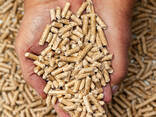 Pellets de madera fabricantes de pellets de madera de polonia pellets de madera - фото 2