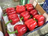 Перец - foto 2
