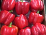 Перец свежий - foto 1
