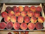 Персики из Испании - фото 2