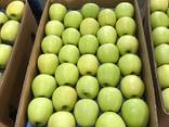 Предлагаем оптовые поставки яблок из Польши