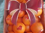 Предлагаем оптовые поставки апельсинов из Испании - фото 2