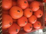 Продаем апельсины - фото 5