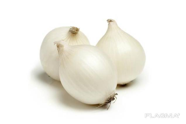 We sell onions (white)