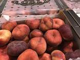 Продаем парагвайский персик