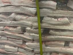 Vendemos tocino de cerdo iberico