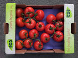 Продаем томаты - фото 6