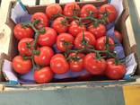 Продаем томаты - фото 9