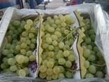 Продаем виноград - фото 3
