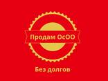Продам ОсОО без долгов /LLC for Sale — Kyrgyzstan - фото 1