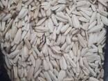 Raw Sunflower Seeds - photo 3