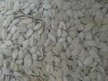 Semillas de calabaza frijoles lentejas - photo 2