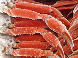 Снежный краб (стригун)