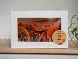 Sombreros VIP de agárico de mosca roja en una caja de regalo 50 gramos/VIP красный мухомор - фото 1