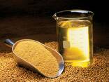Soybean oil - photo 1