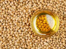 Soybean oil/ Aceite de soja
