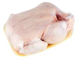 Top Quality Halal Frozen Whole chicken