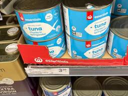 Tuna in oil