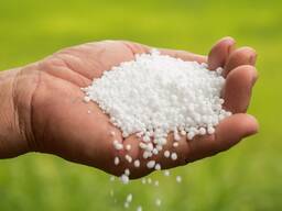 Urea 46 Prilled Granular/Urea Fertilizer 46-0-0/Urea N46% with Competitive Price CAS 57-13