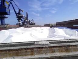 Vendemos Urea, NPK y Potasa en condiciones FOB (Incoterms), cantidad mínima de pedido: 100